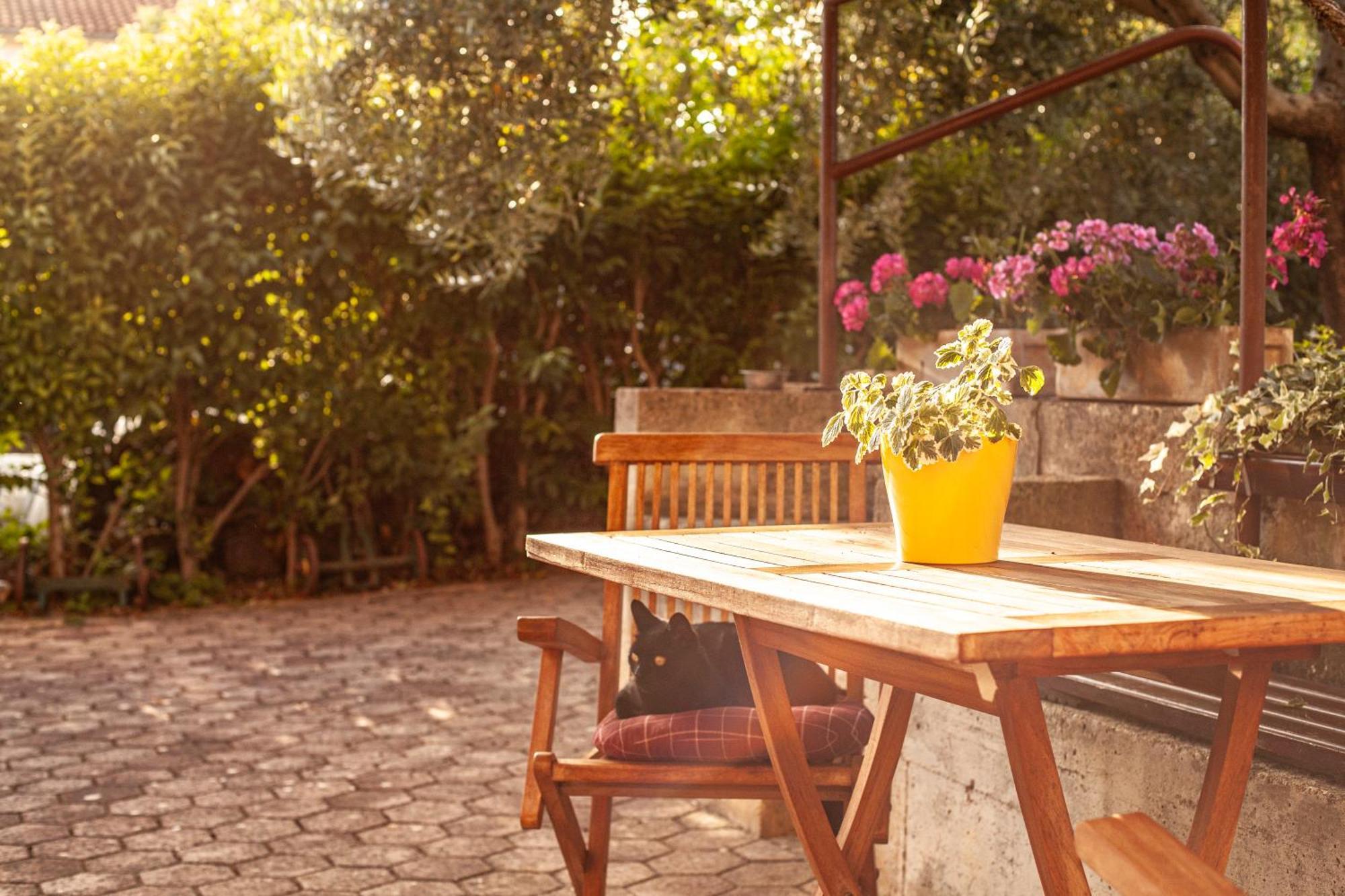 Apartman Borik Pula